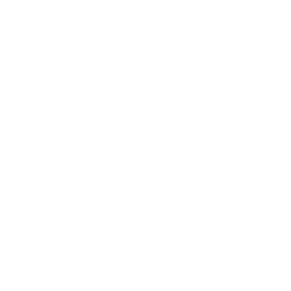 https://satineguidance.com/wp-content/uploads/2022/10/Taurus-SG1.png